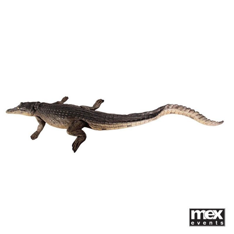 Life-size crocodiles