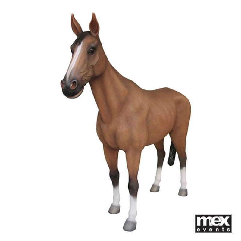 Life Size Horse