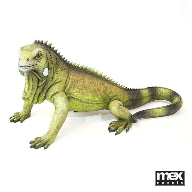 Life size Iguanas