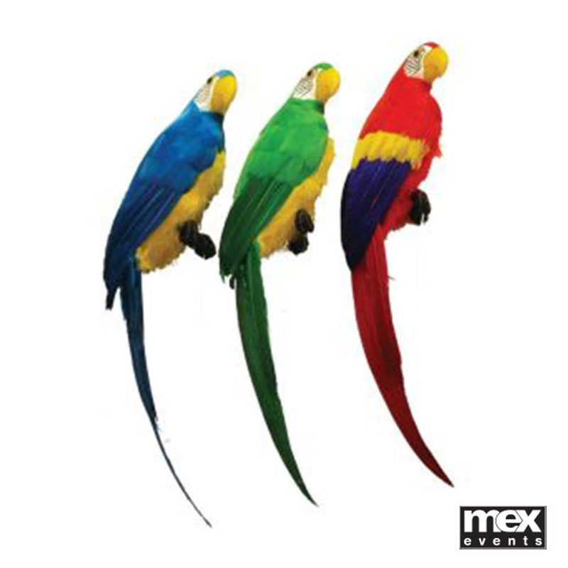 Life Size Parrots